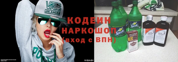 индика Горно-Алтайск
