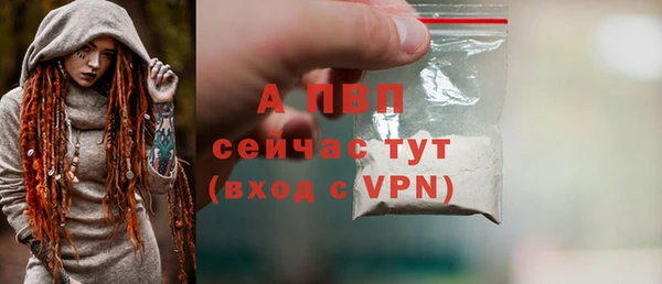 ГАЛЛЮЦИНОГЕННЫЕ ГРИБЫ Вязьма