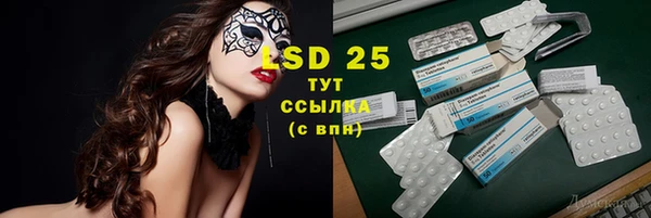 гашик Вяземский