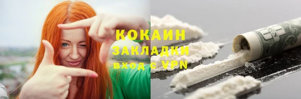 гашик Вяземский