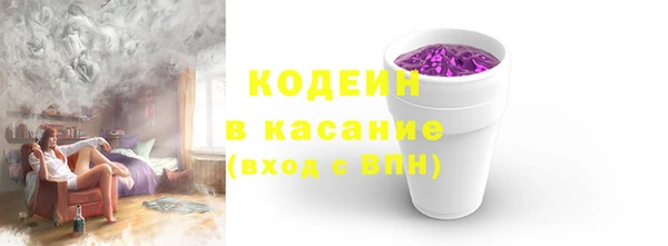 гашик Вяземский