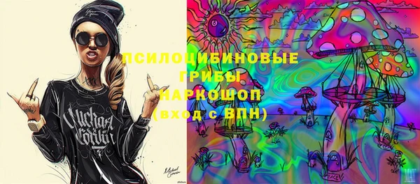 индика Горно-Алтайск