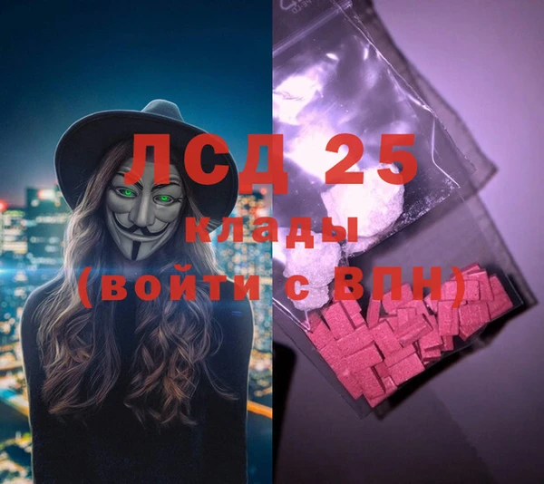 ГАЛЛЮЦИНОГЕННЫЕ ГРИБЫ Вязьма