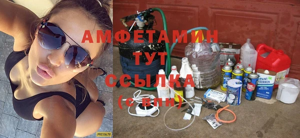 гашик Вяземский