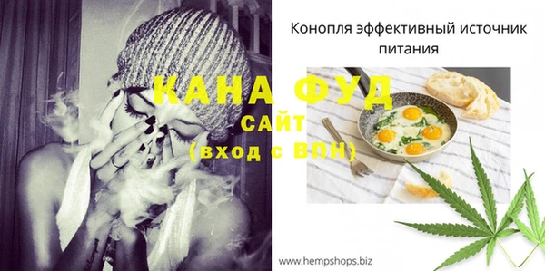 индика Горно-Алтайск