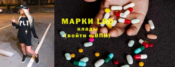 ГАЛЛЮЦИНОГЕННЫЕ ГРИБЫ Вязьма