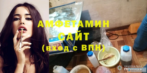 гашик Вяземский