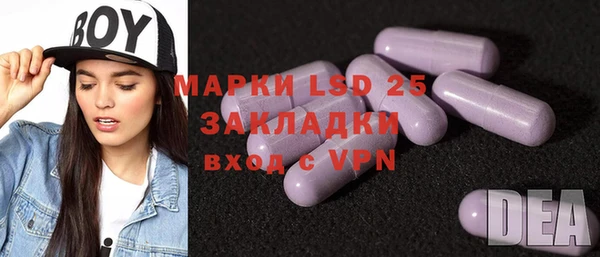 гашик Вяземский